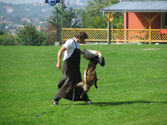 IMG_4024 – kopie.JPG